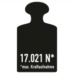  BLACK BULL Rammschutz-Geländer S-Line  (12)