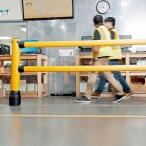  BLACK BULL FLEX+ Rammschutz-Geländer S-Line  (3)