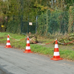 Leitkegel tagesleuchtend - Set